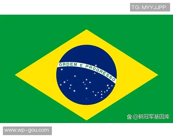 世界杯巴西对阵德国的比赛10元投注能赢得多少奖金解析